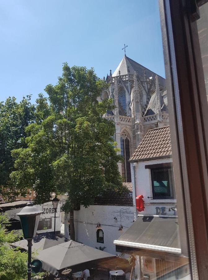 Al In Den Aap Gelogeerd? Mechelen Exterior foto