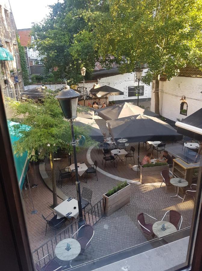 Al In Den Aap Gelogeerd? Mechelen Exterior foto